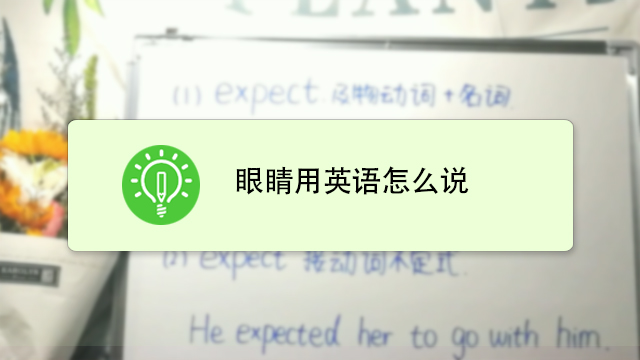 眼睛用英语怎么说?