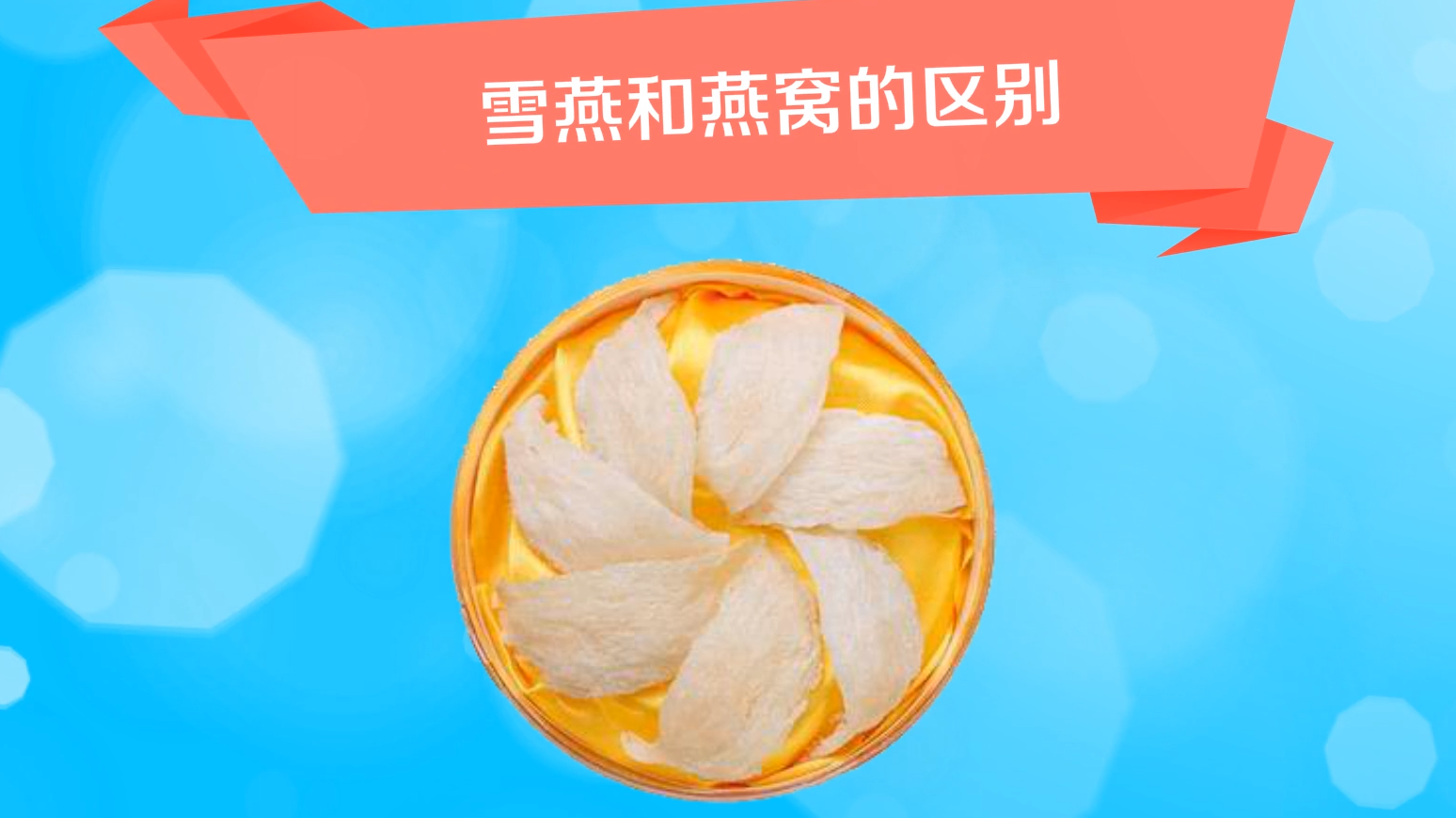 如何区别雪燕和燕窝