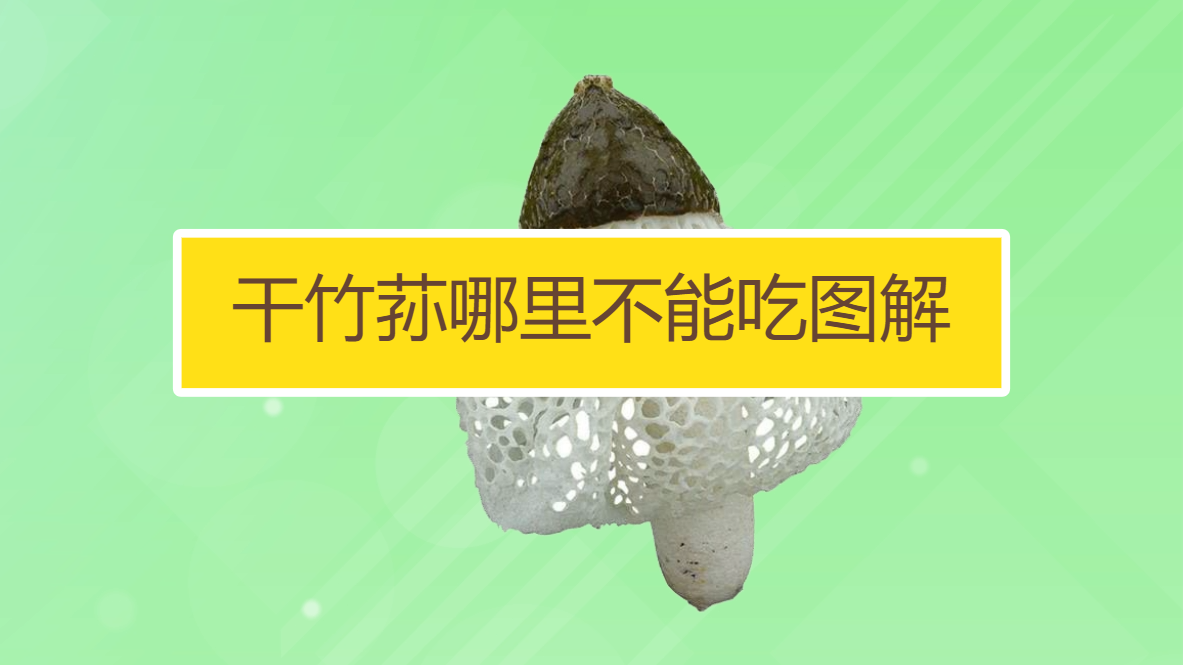 干竹荪哪里不能吃