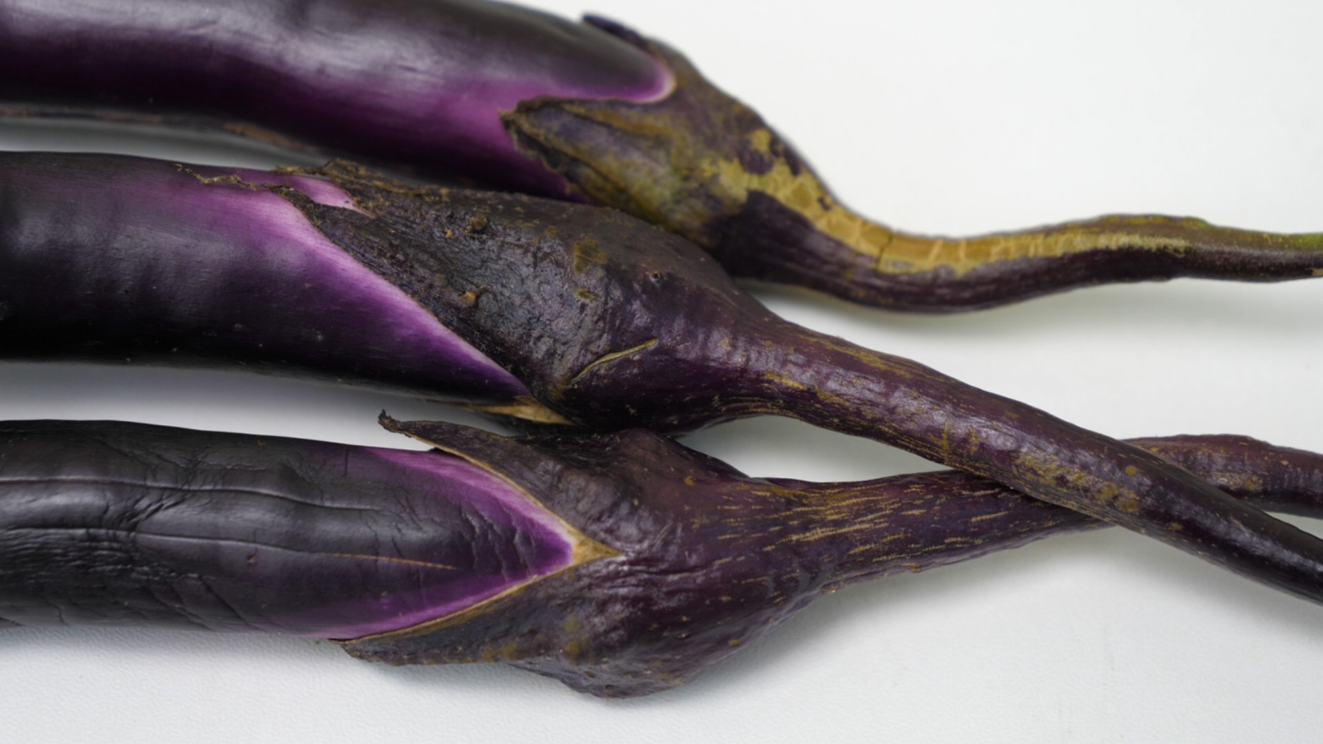 茄子蒂有什么妙用?