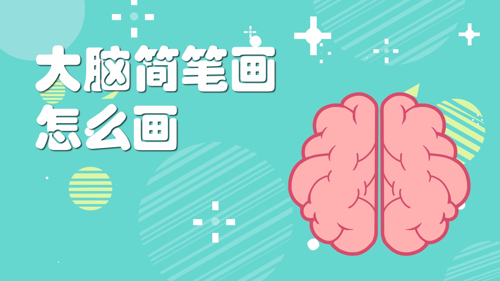 大脑简笔画怎么画