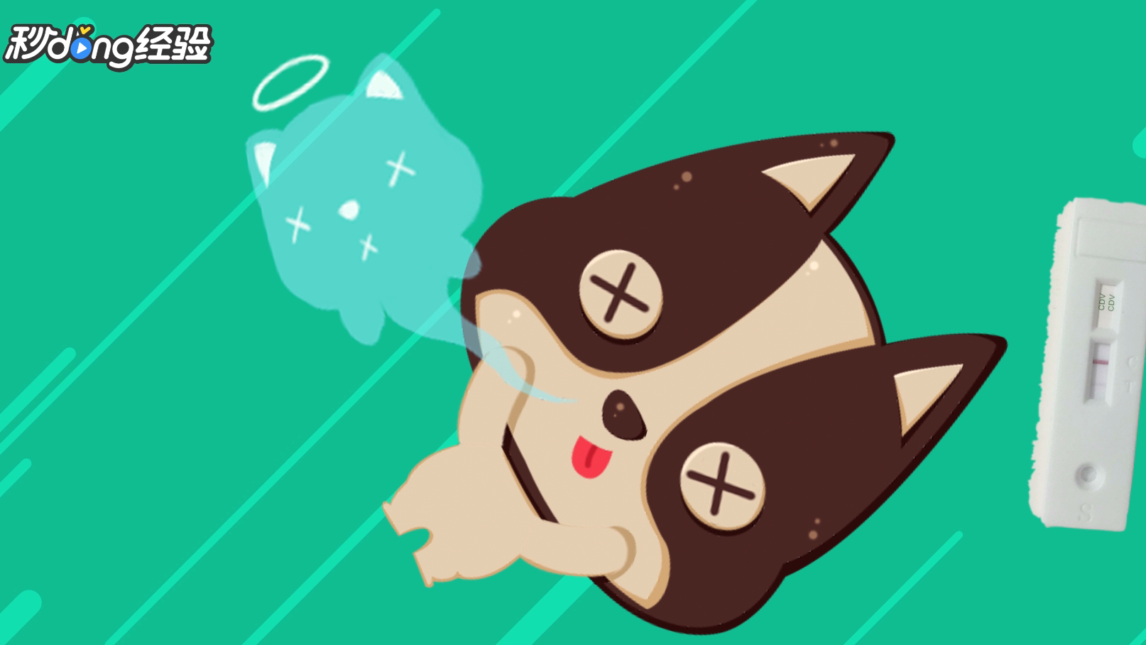 狗狗吐白沫怎么办？狗狗吐白沫是什么原因-百度经验