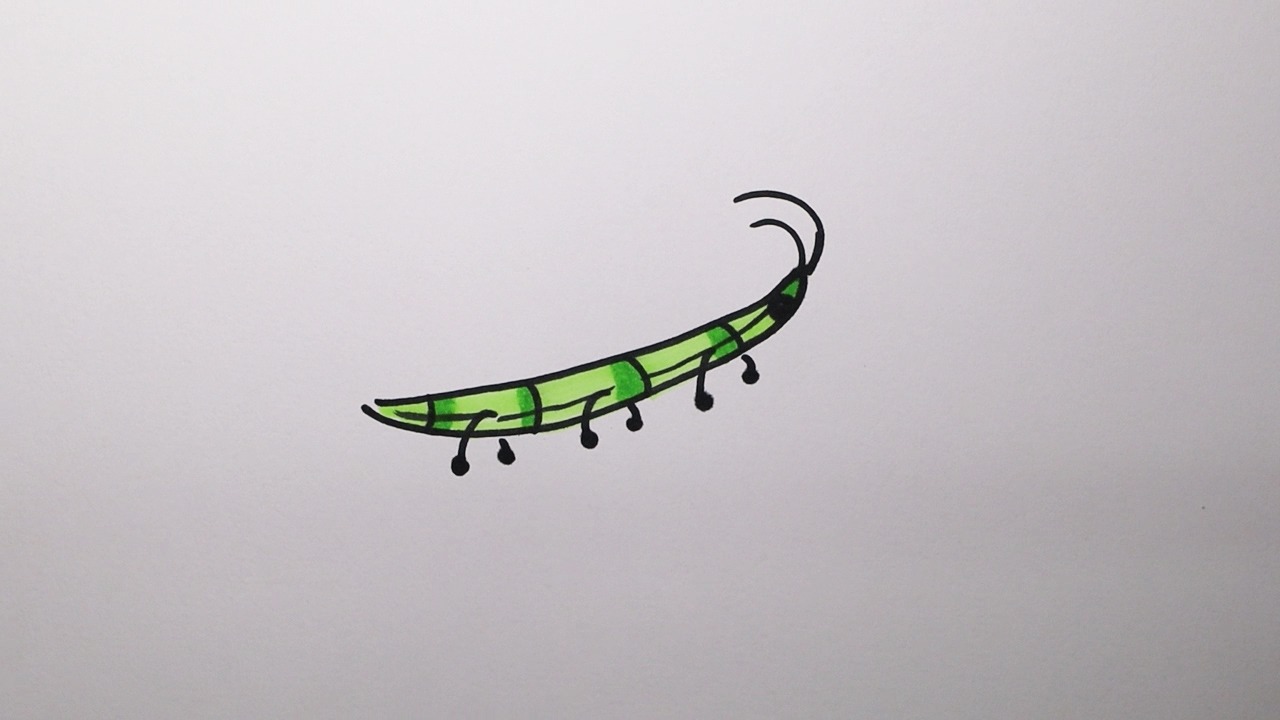 竹节虫简笔画图片