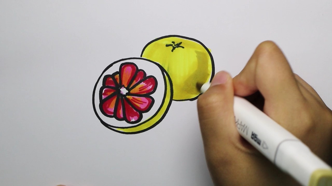 柚子简笔画图片 画法图片