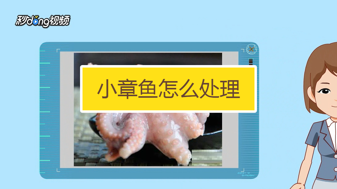 小章鱼怎么处理