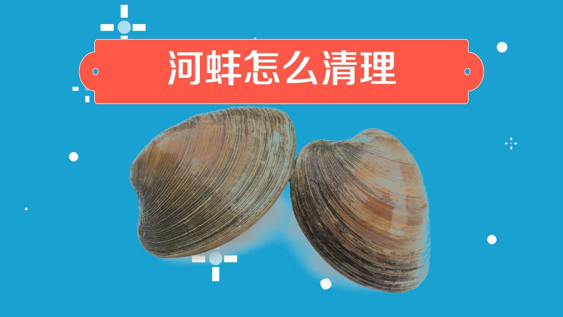 河蚌怎么清理