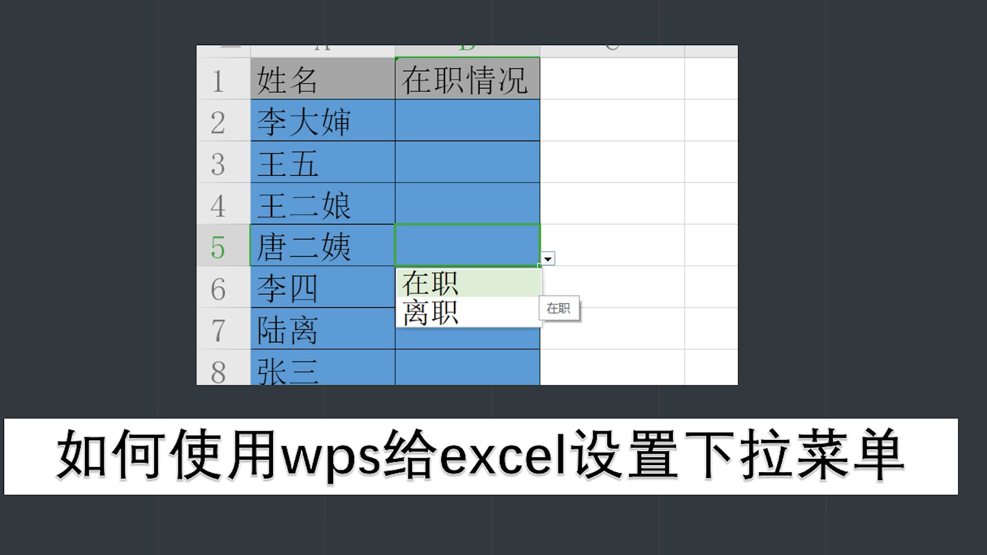 怎么使用wps给excel表格设置下拉菜单