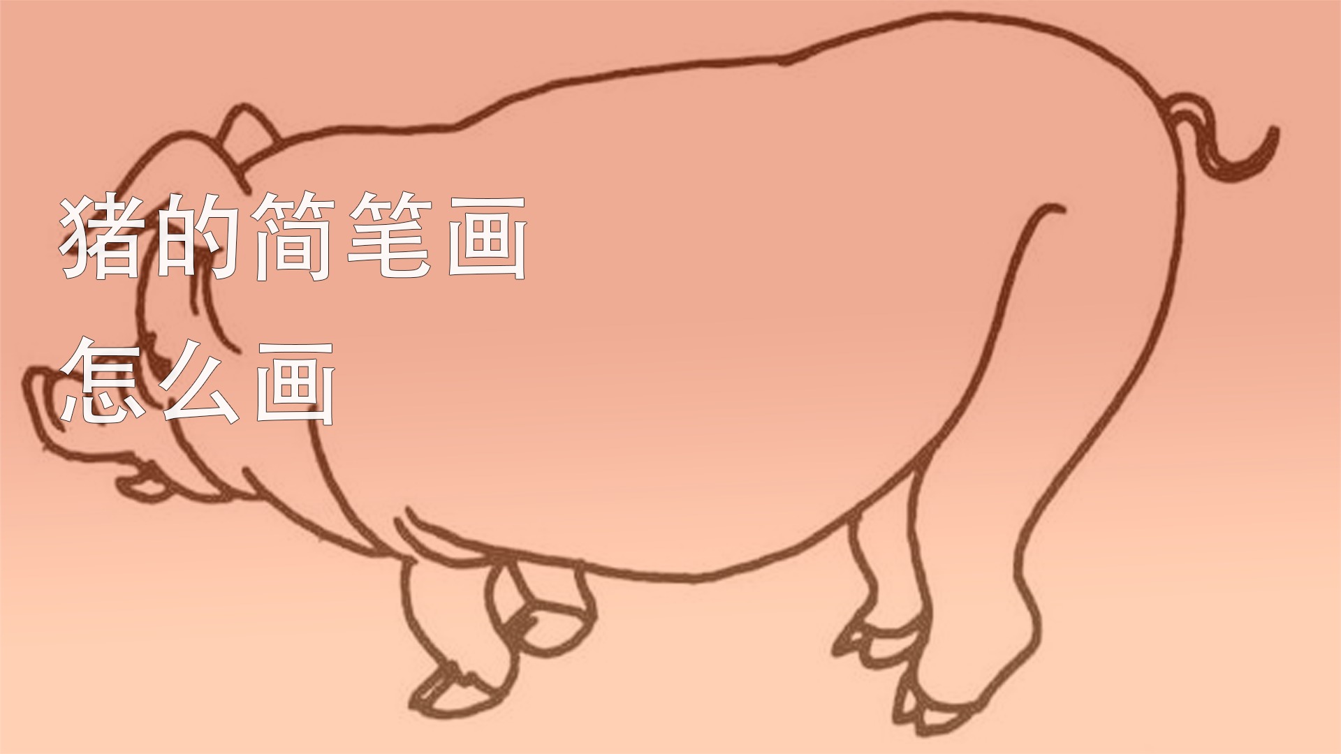 猪的简笔画怎么画