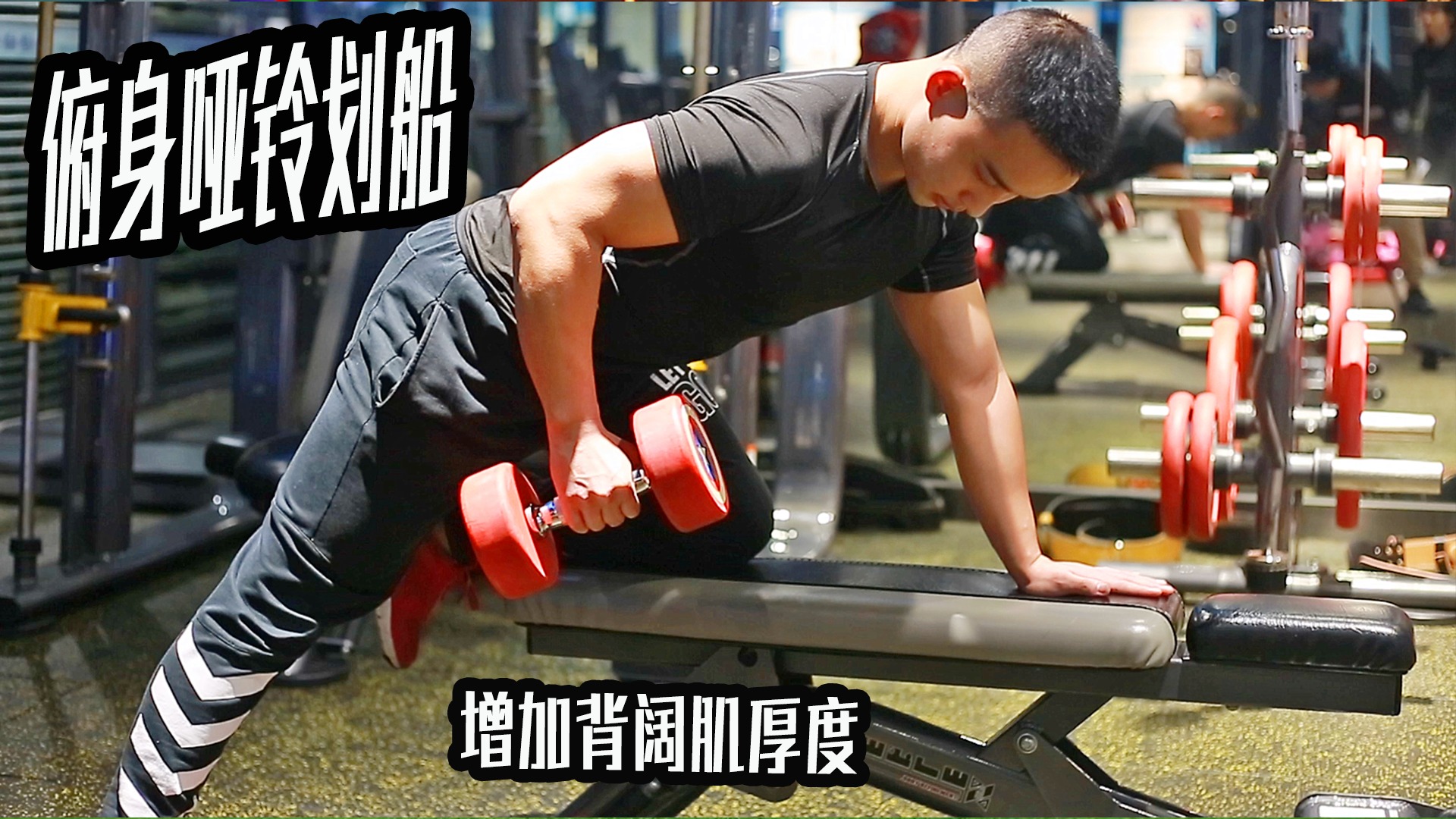 俯身哑铃教学:增加背阔肌厚度