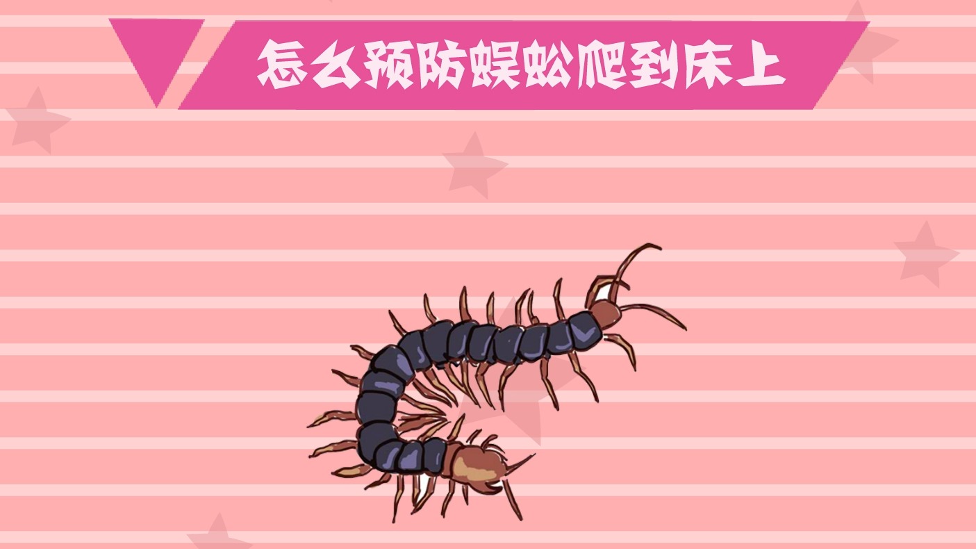 怎么预防蜈蚣爬到床上