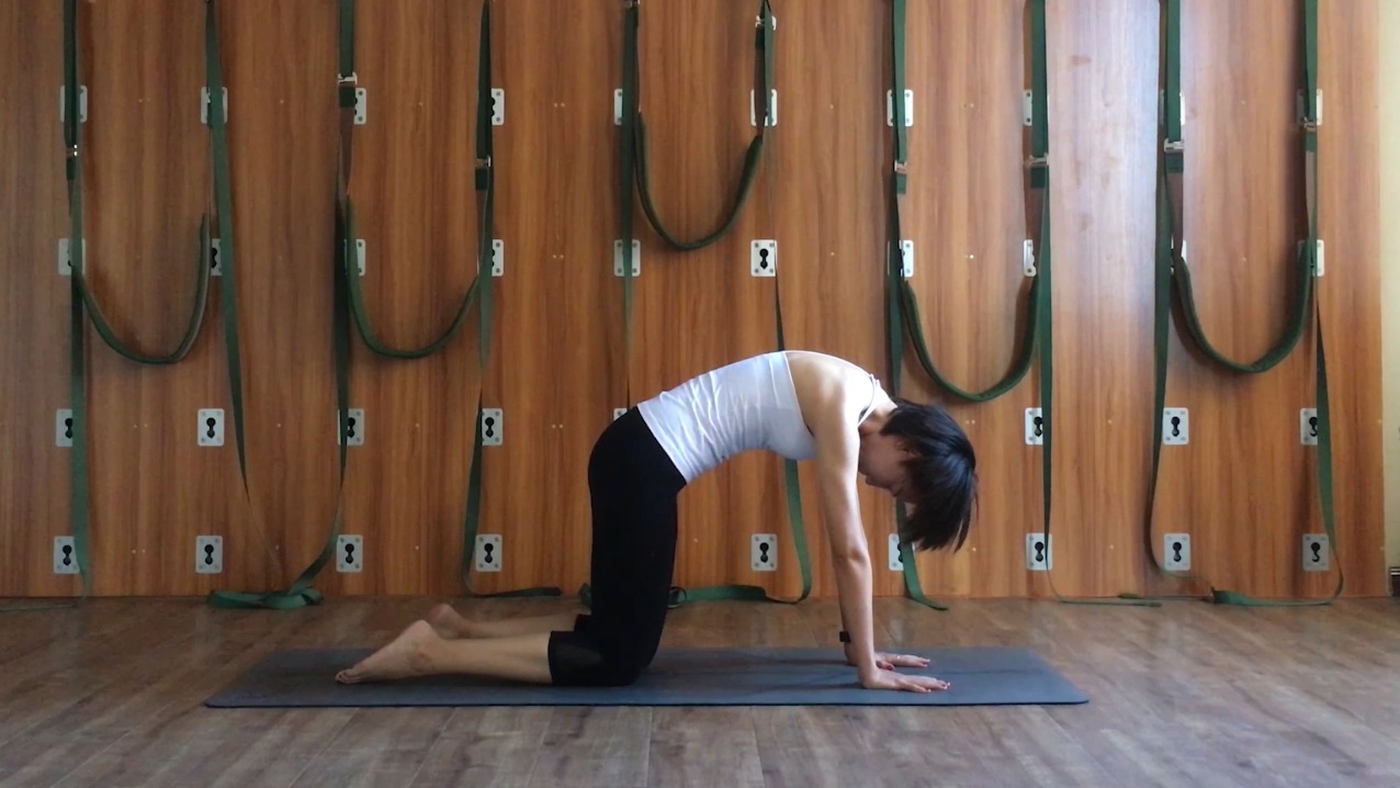 猫式瑜伽怎么做?