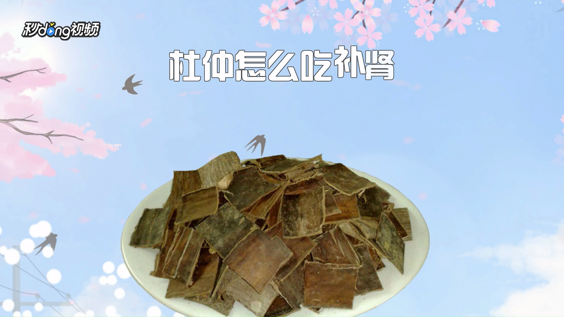 杜仲怎么吃补肾