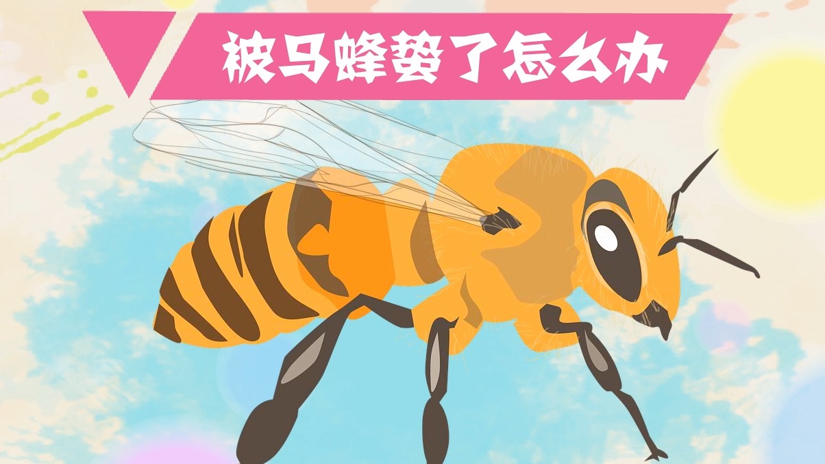 被马蜂蛰了怎么办
