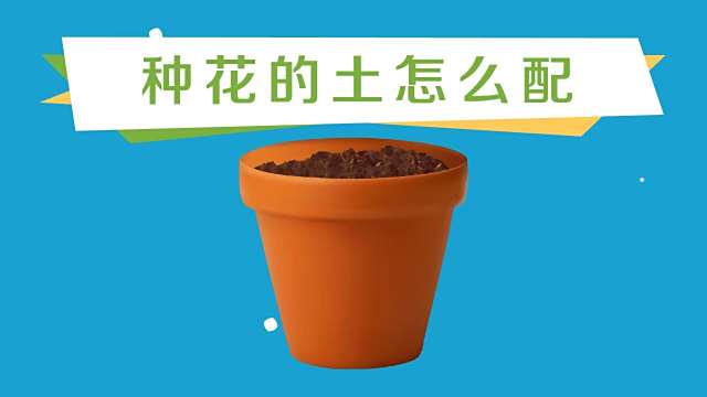多肉植物的培养土怎么配 百度经验 多肉植物的培养土怎么配 百度经验