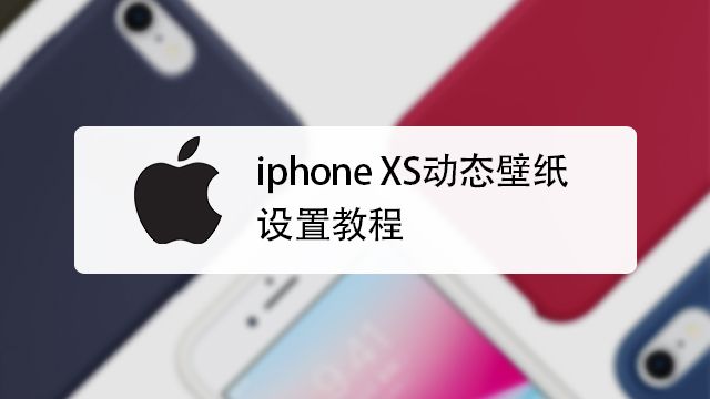 如何用iphone设置抖音小视频动态壁纸 百度经验