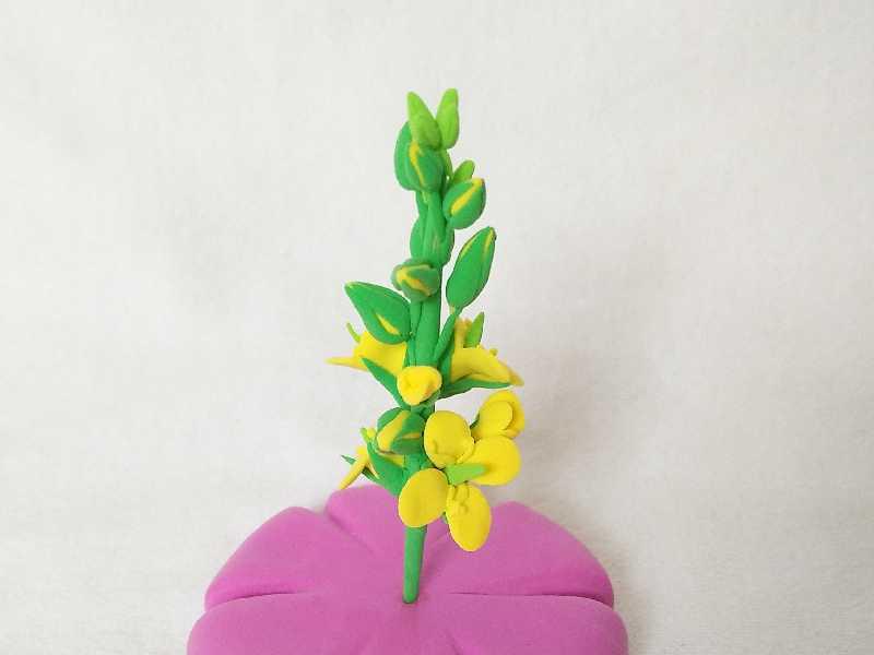 教你学会快速制作粘土油菜花