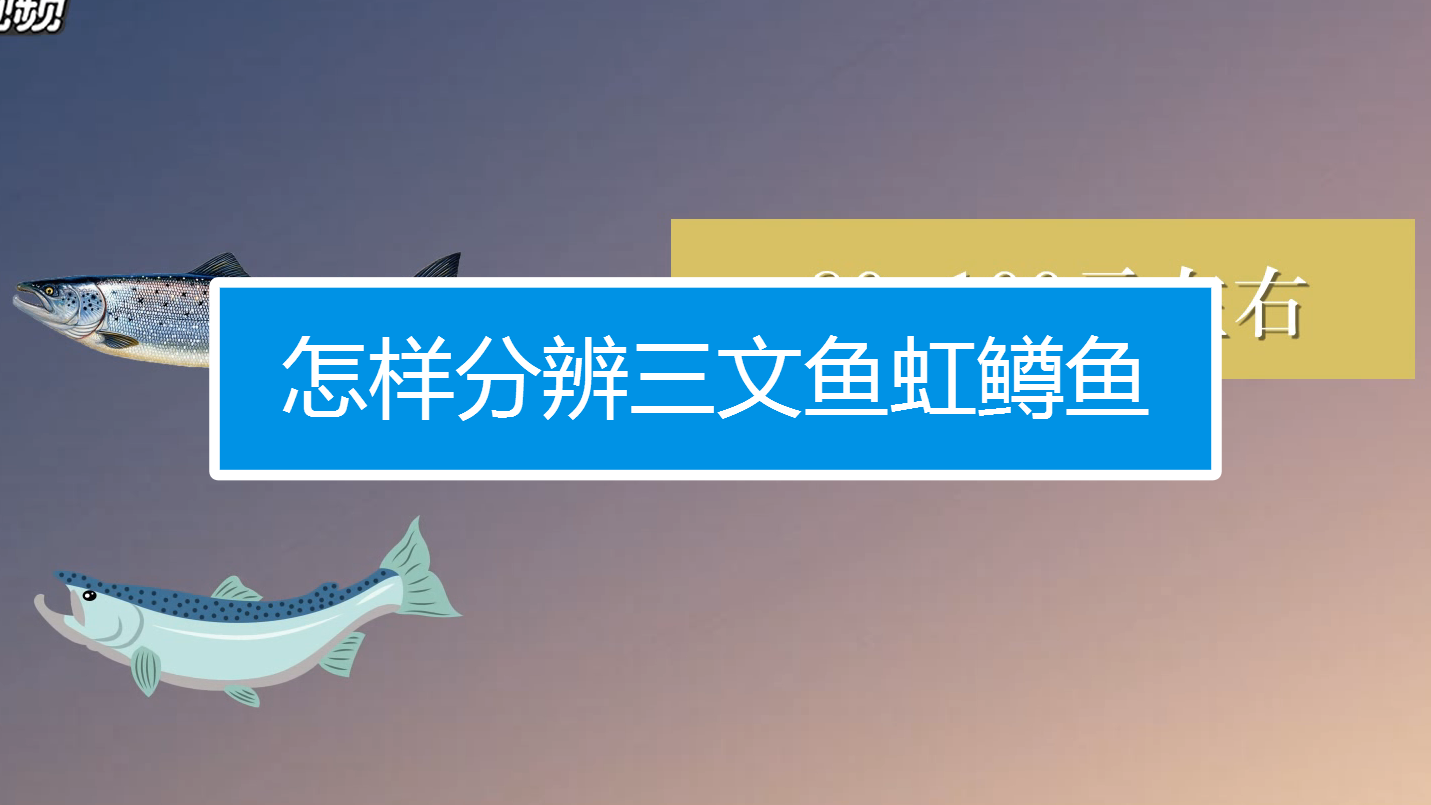 > 妙招好生活 爱生活,看妙招视频 00:46 54万  11 鸿茅药酒官方商城