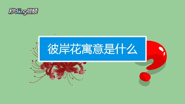 彼岸花寓意是什么 百度经验 彼岸花寓意是什么 百度经验