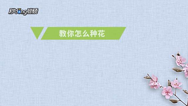 牡丹的栽培方法 百度经验 牡丹的栽培方法 百度经验