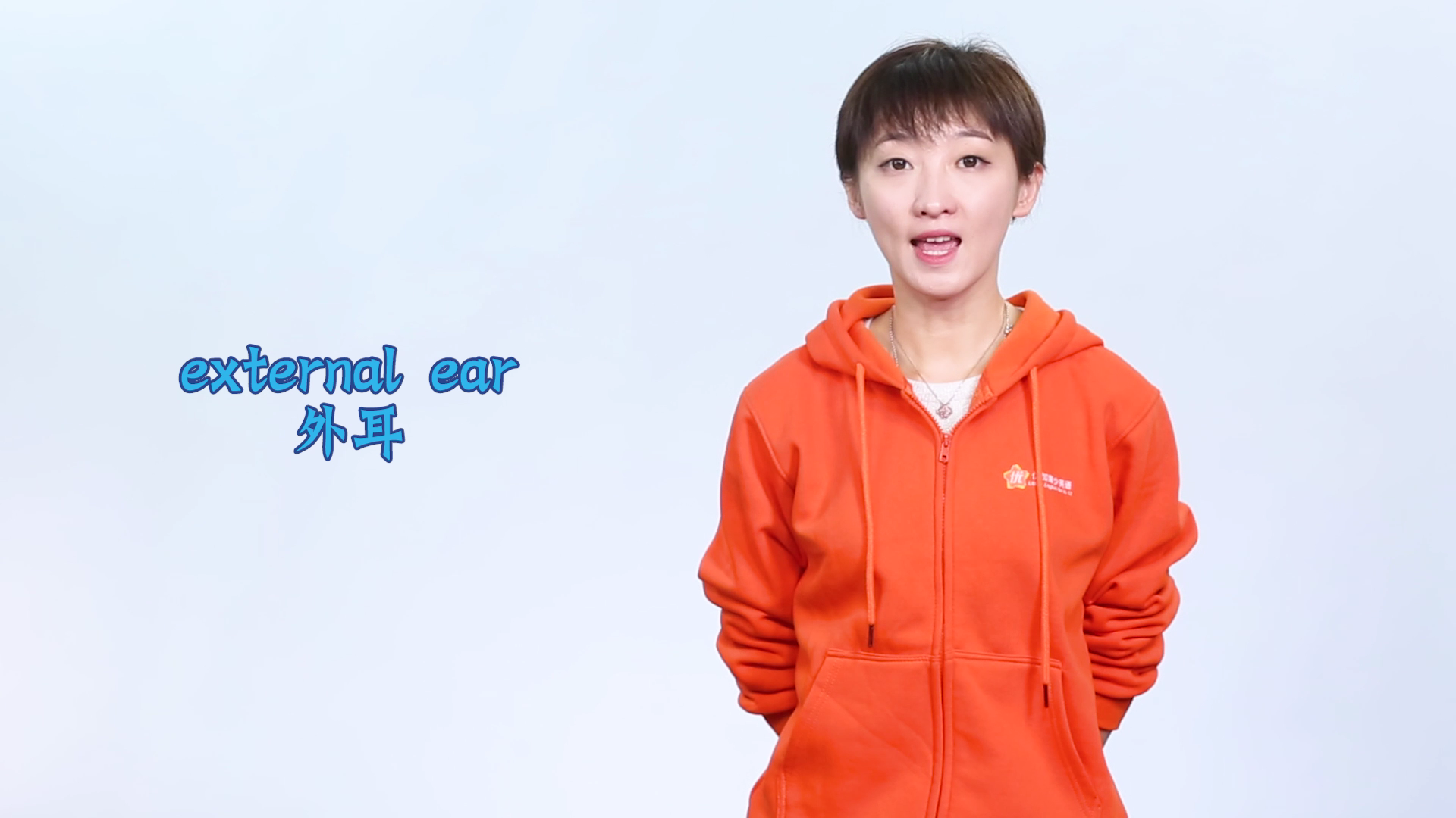 ear英文什么意思