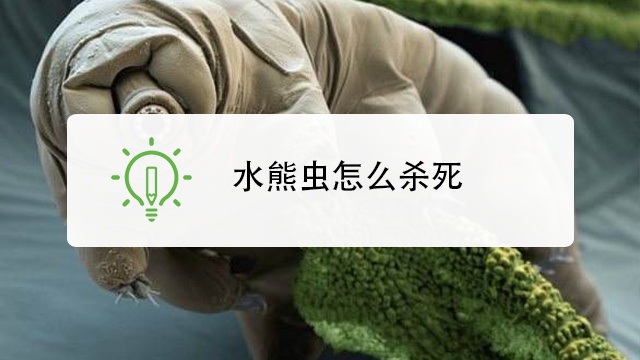 干细胞治疗是什么?