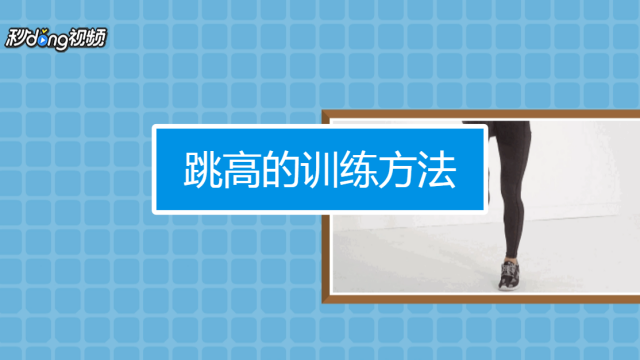 泰迪犬的训练方法
