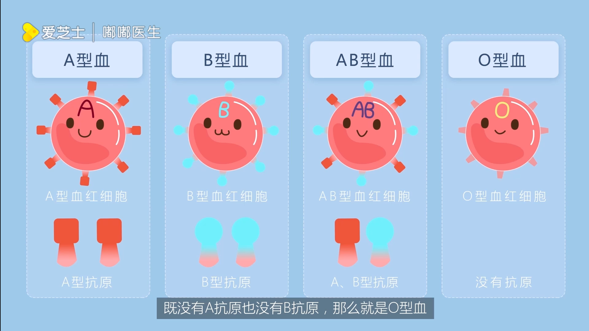 血型的划分和抗体的产生