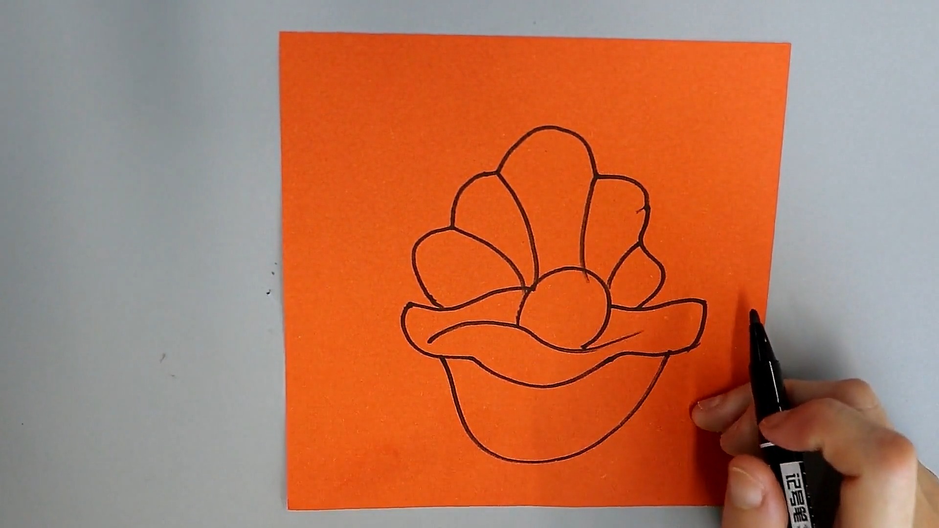 贝壳的简笔画如何画?