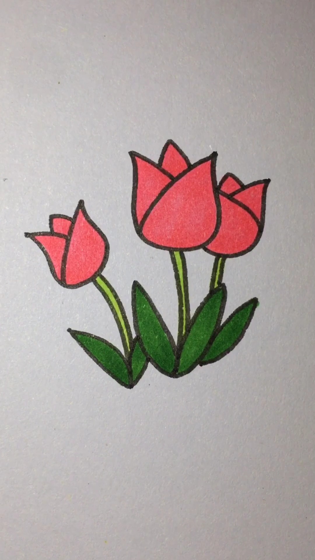 怎么画美丽的郁金香简笔画