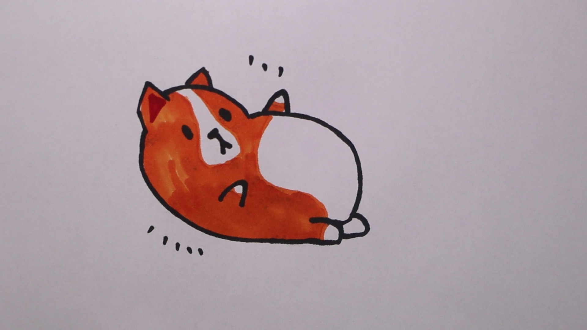 大胖猫简笔画一只图片