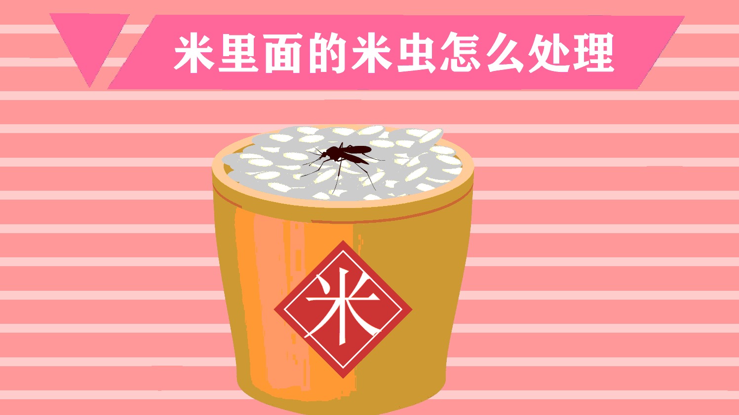 米里面的米虫怎么处理?