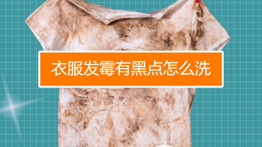 衣服发霉怎么洗_衣服发霉了用什么能洗掉-第2张图片-潮百科