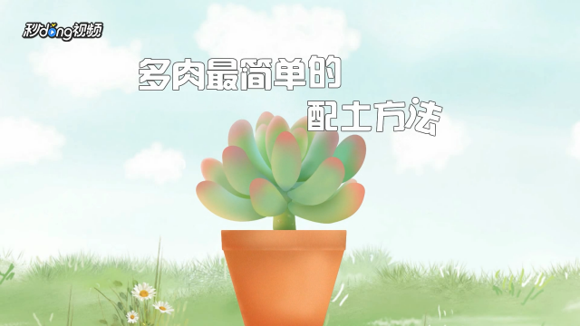 多肉植物的培养土怎么配 百度经验