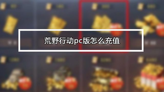 荒野行动pc版怎么充值 百度经验 荒野行动pc版怎么充值 百度经验