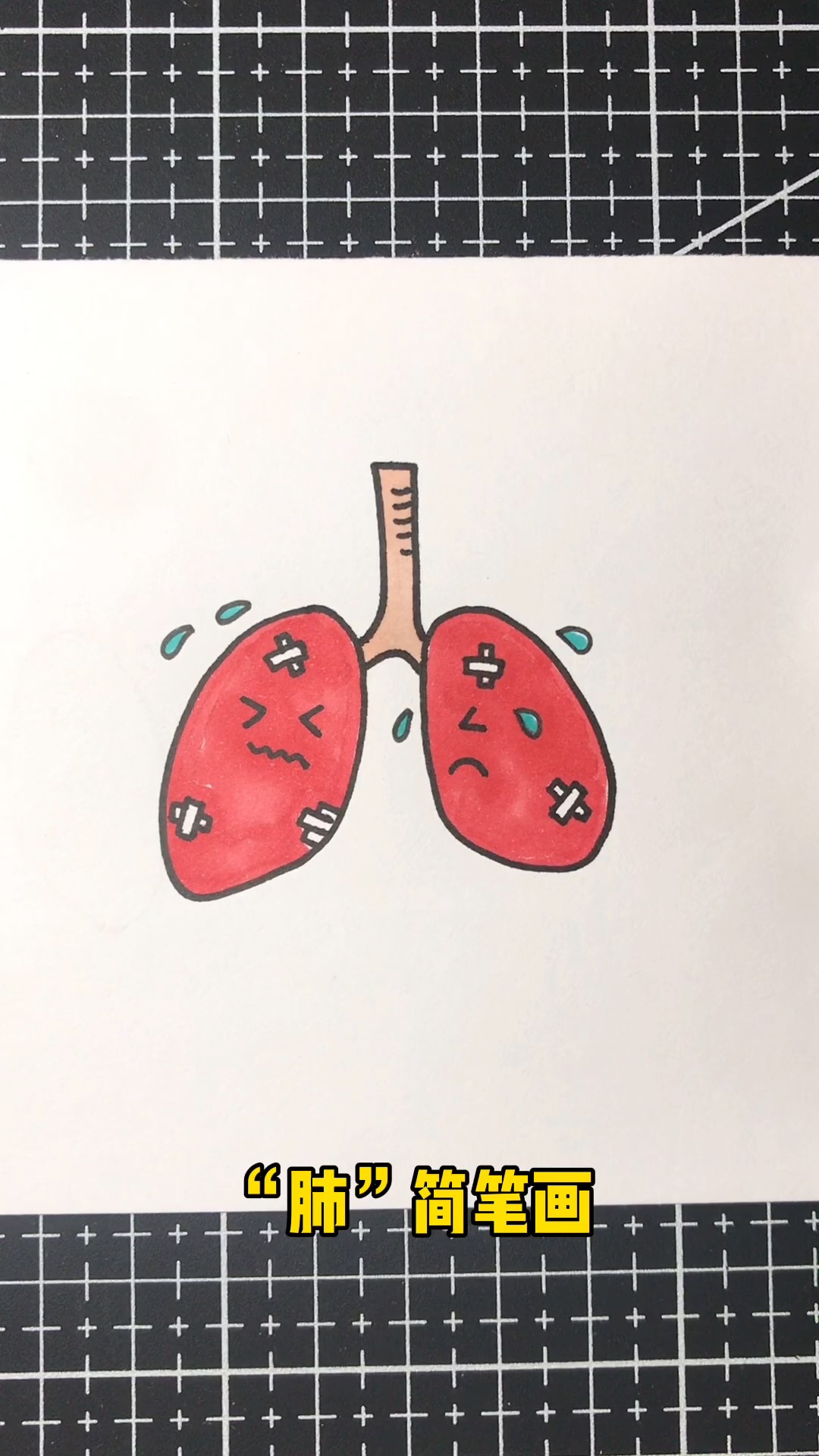 画肺简图图片