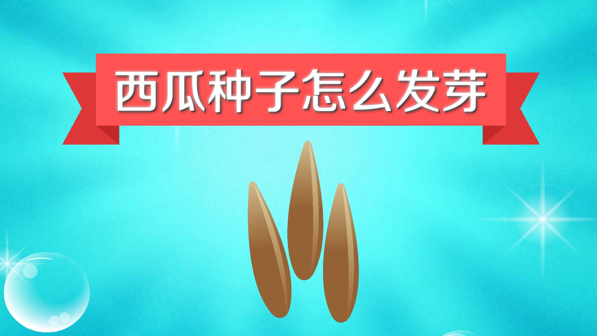 西瓜种子怎么发芽