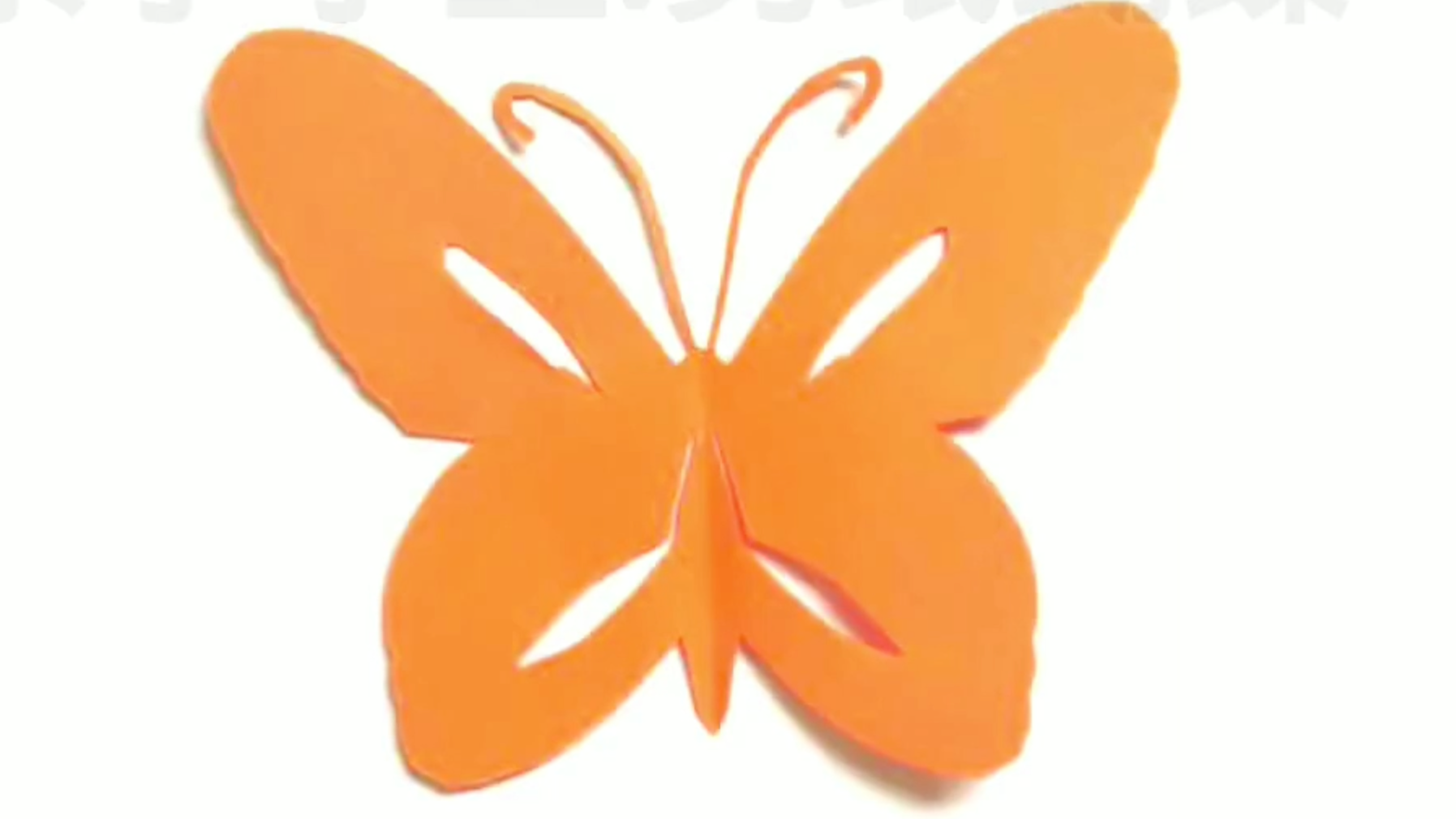 剪纸教程图解蝴蝶图片