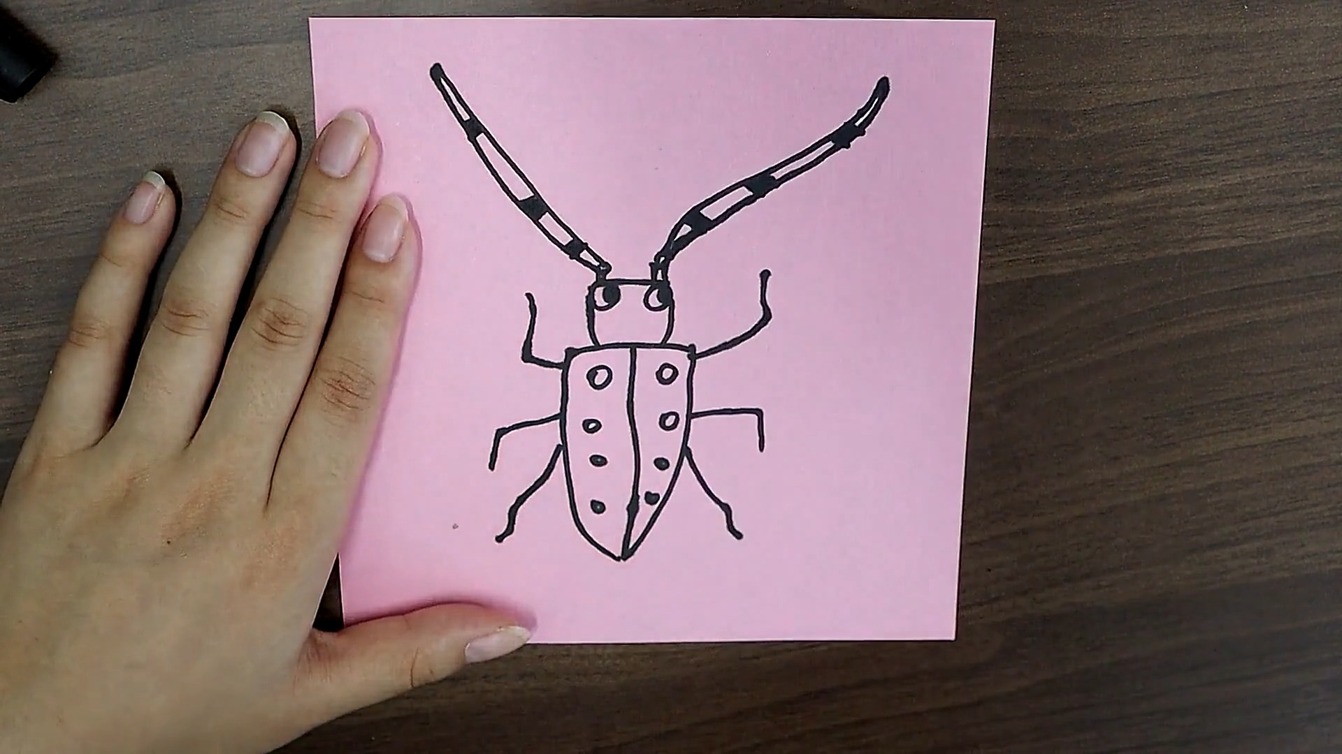 天牛的简笔画如何画?