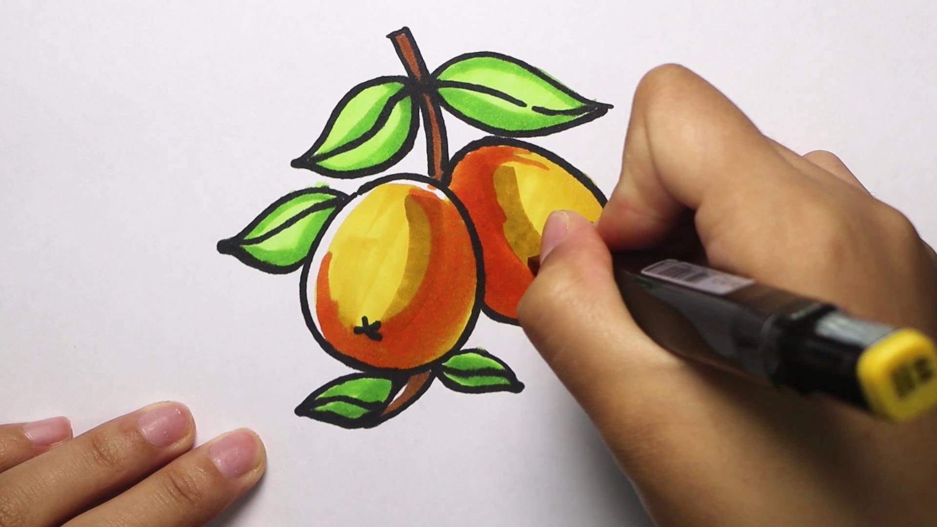 枇杷怎样画?超简单哦