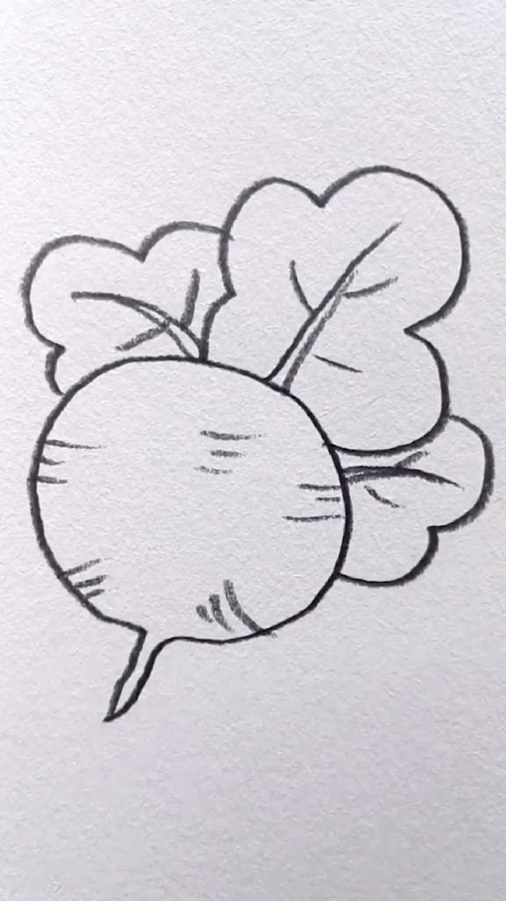 水萝卜简笔画卡通图片图片