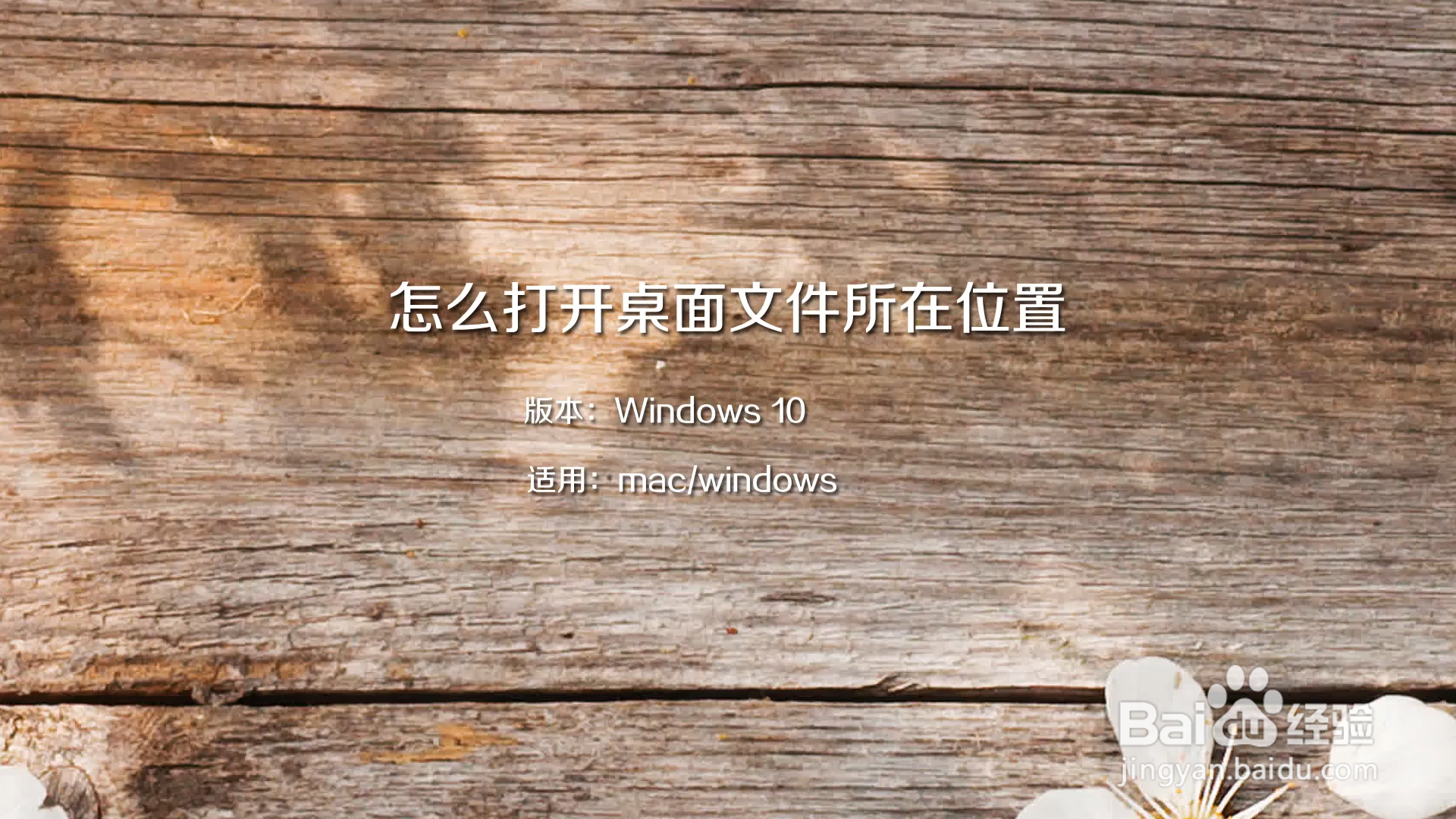 怎么打开桌面文件所在位置