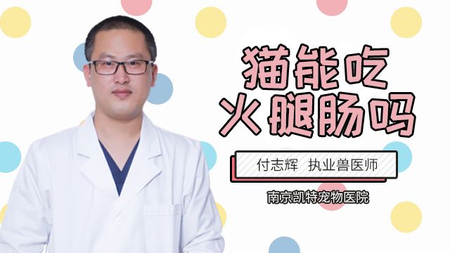猫咪能吃多肉植物吗 百度经验 猫咪能吃多肉植物吗 百度经验