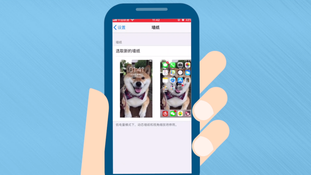 Iphone8怎么设置动态壁纸 百度经验