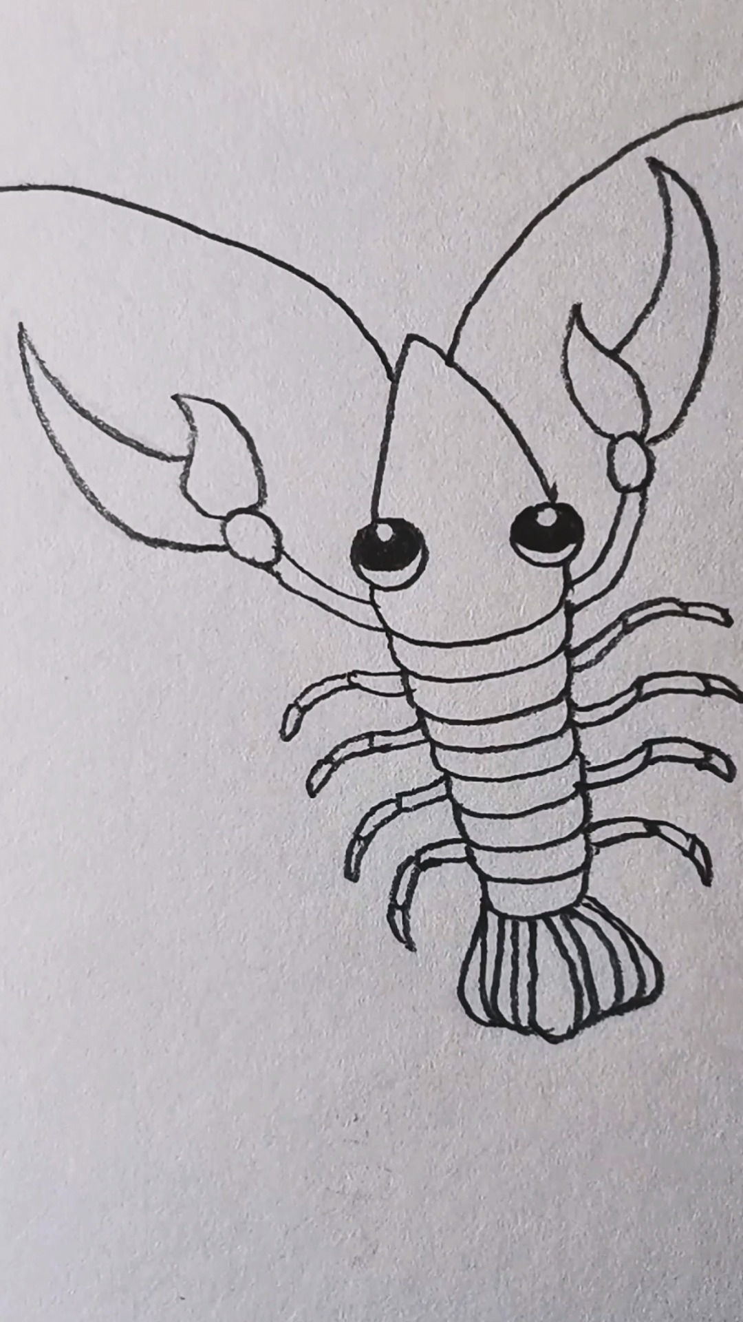 怎么画可爱的小龙虾