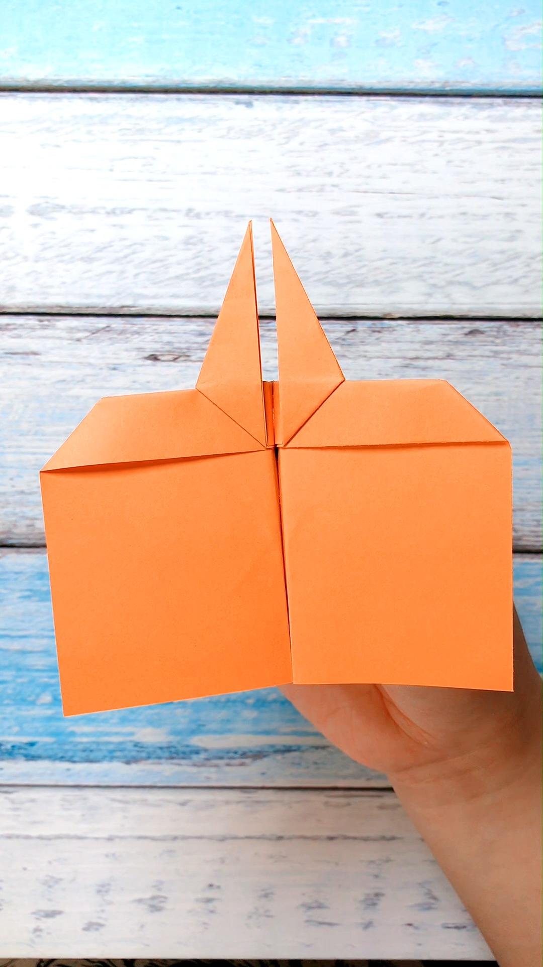 如何用彩纸折一架奇特的双头飞机?