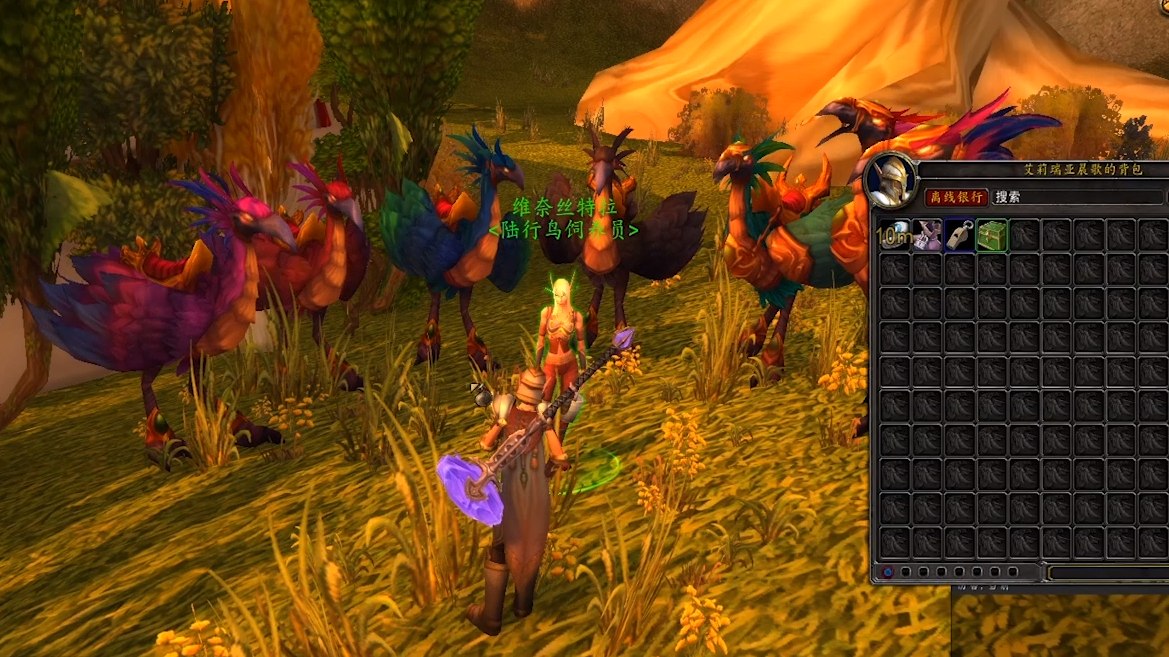 在魔兽世界中如何购买血精灵陆行鸟?