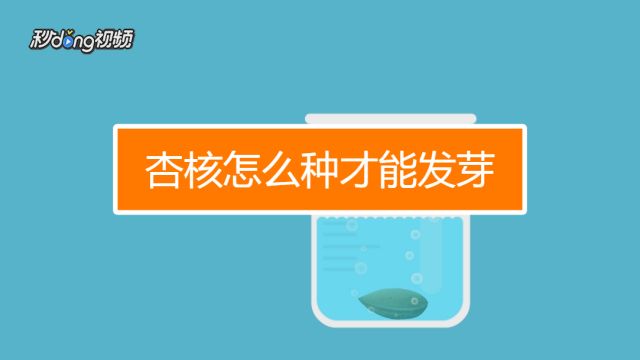 南瓜栽培技术要点 百度经验 南瓜栽培技术要点 百度经验