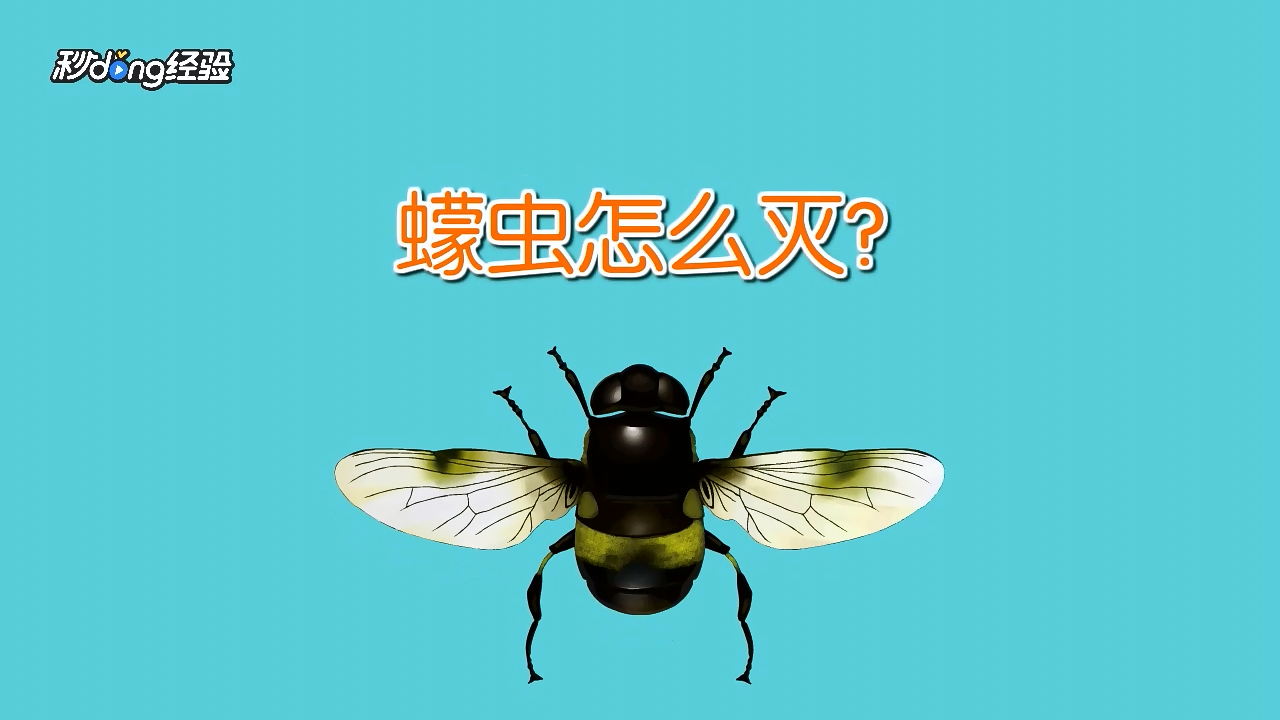 蠓虫怎么消灭