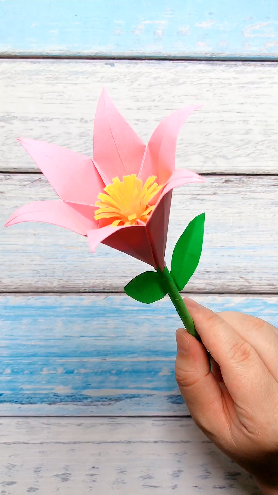 如何用彩纸折立体的百合花?