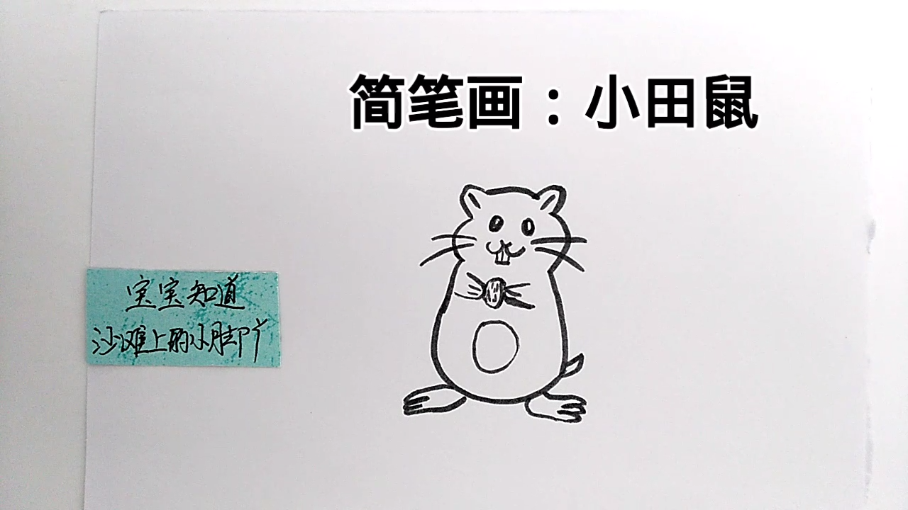 胖胖的田鼠简笔画教程